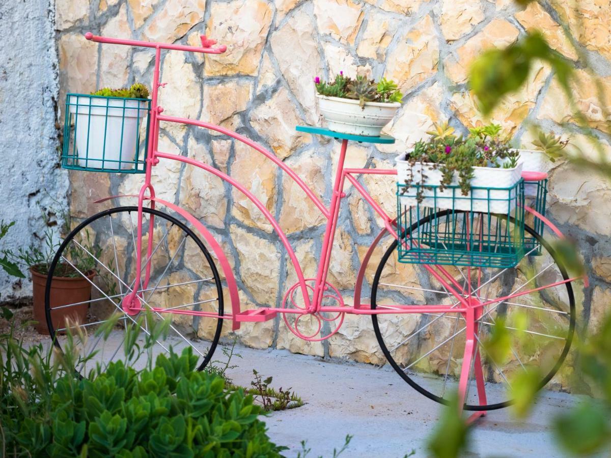 Villa Sun Gardens Šibenik Exterior foto